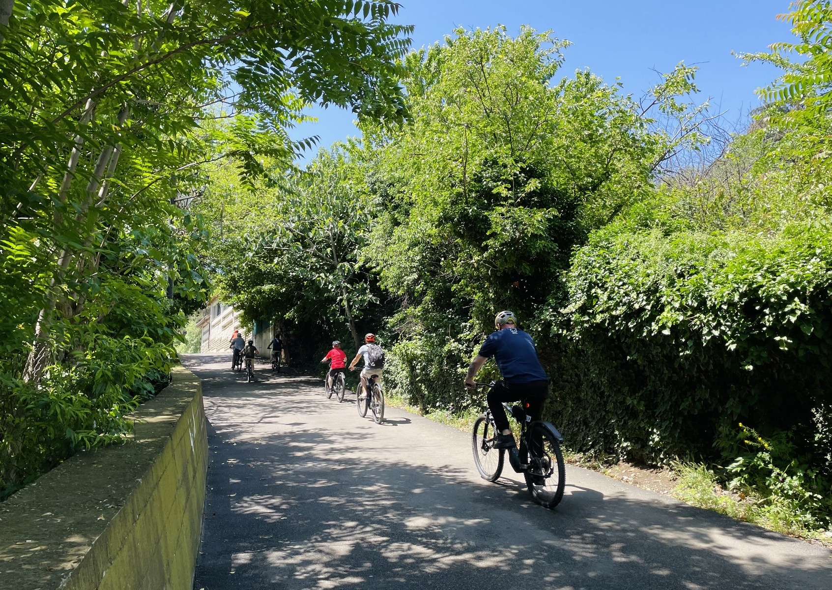 Bike Tour