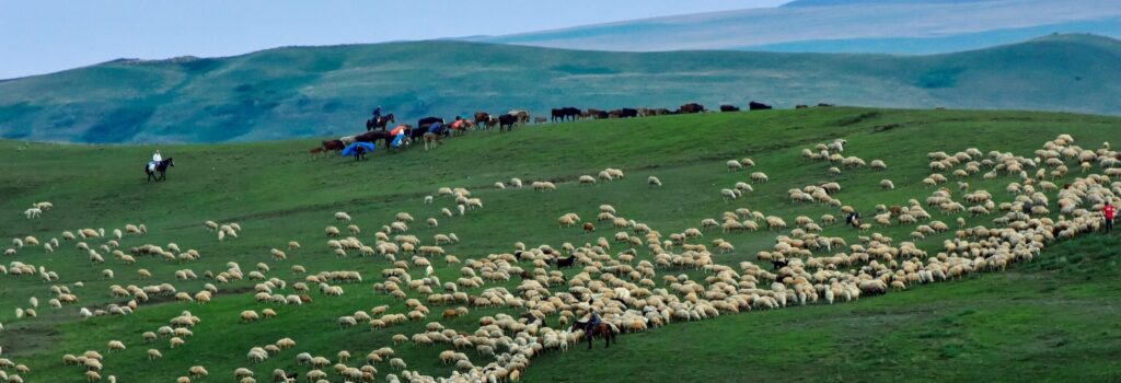 Trekking Georgia